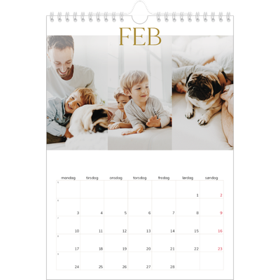 Fotokalender A4 (20 x 30 cm) — Guld stor skrift [Februar]