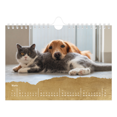 A5 Foto Kalender — Classic Gold [Marts]