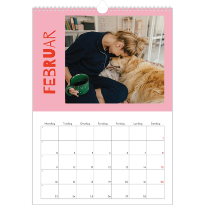 Årskalender A3 — Farverig kalender [Februar]