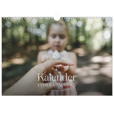 A3 Foto Kalender — Tolv store måneder [kalender forside]