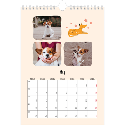 Fotokalender A4 (20 x 30 cm) — Hundepoter og kruseduller [kalender forside]