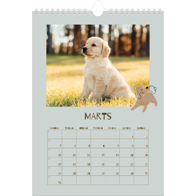 Fotokalender A4 (20 x 30 cm) — Legesyg hvalp [Marts]