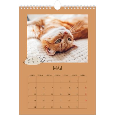 Fotokalender A4 (20 x 30 cm) — legesyg killing [kalender forside]