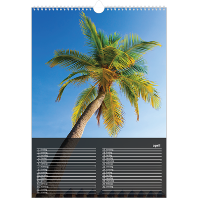 Årskalender A3 — Transparent kalender [April]