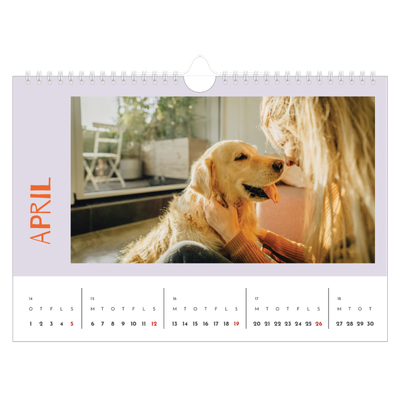Fotokalender A4 — Farverig kalender [April]