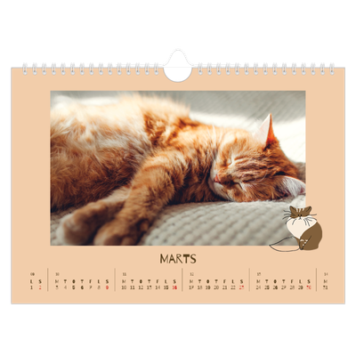Fotokalender A4 — legesyg killing [Marts]