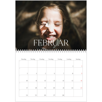 Fotokalender A4 dobbelt (30 x 40 cm) — Tolv store måneder [Februar]