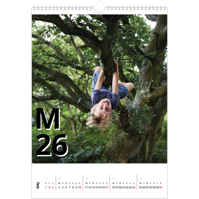 Årskalender A3 — Bogstav og tal [kalender forside]