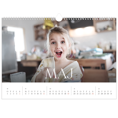 A3 Foto Kalender — Tolv store måneder [kalender forside]
