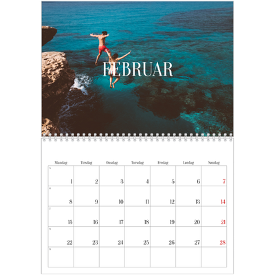Fotokalender A4 dobbelt (30 x 40 cm) — Endeløs flugt [Februar]