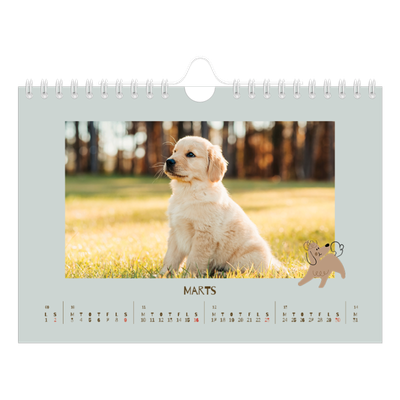 A5 Foto Kalender — Legesyg hvalp [Marts]