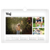 Fotokalender A4 — Avisstil [kalender forside]