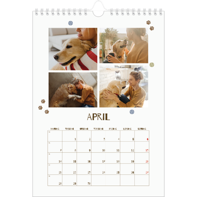 Fotokalender A4 (20 x 30 cm) — Legesyg hvalp [April]