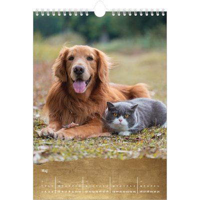 Fotokalender A4 (20 x 30 cm) — Classic Gold [kalender forside]