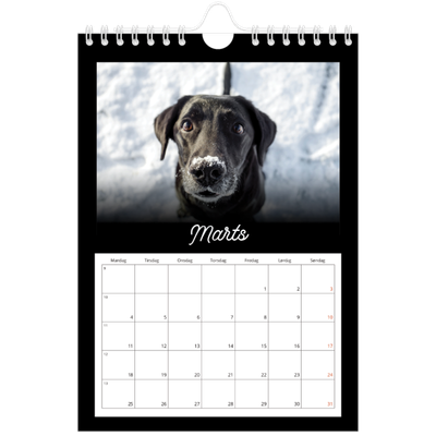 A5 Foto Kalender — Sort minimal [Marts]