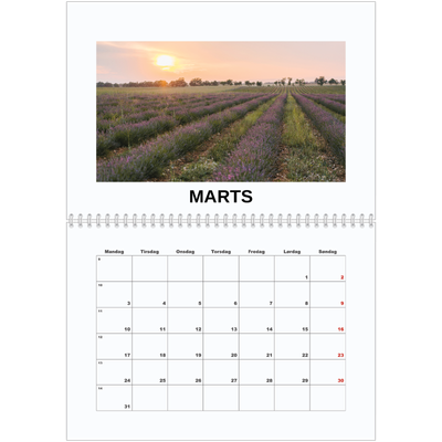 Fotokalender A4 dobbelt (30 x 40 cm) — Simpelt billede [Marts]