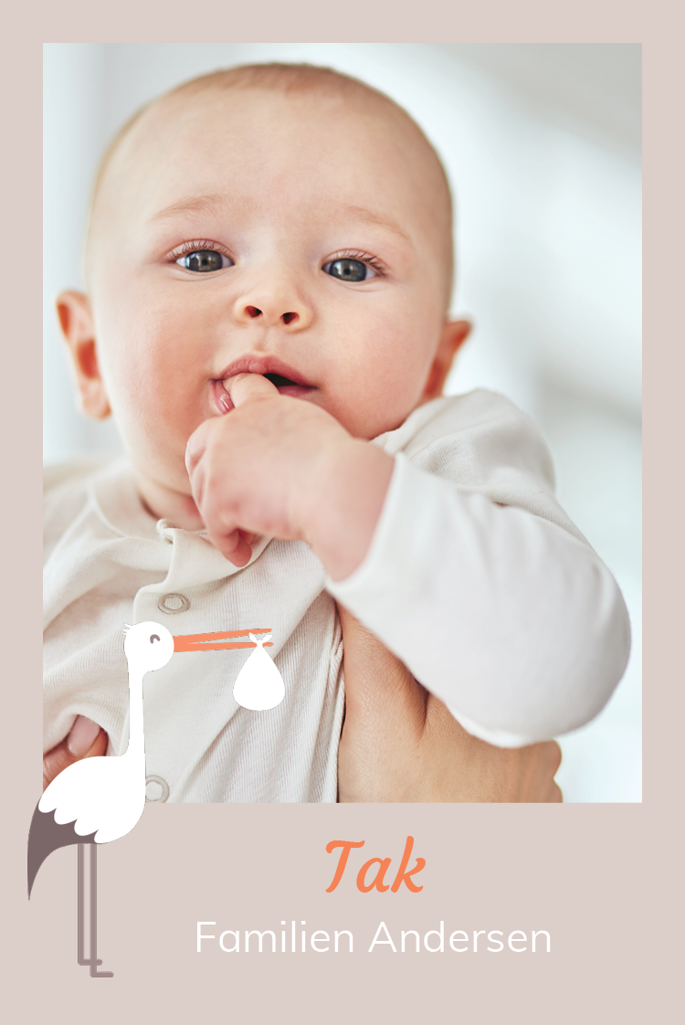 Takkekort — Min ven storken