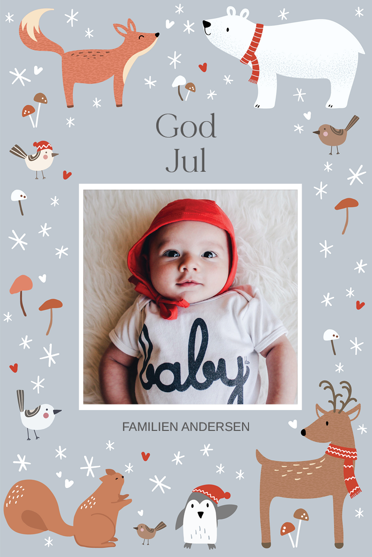 Kort — Vinterlandskab