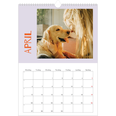 Årskalender A3 — Farverig kalender [April]