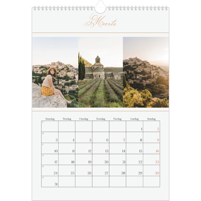 Årskalender A3 — Elegant guld [Marts]