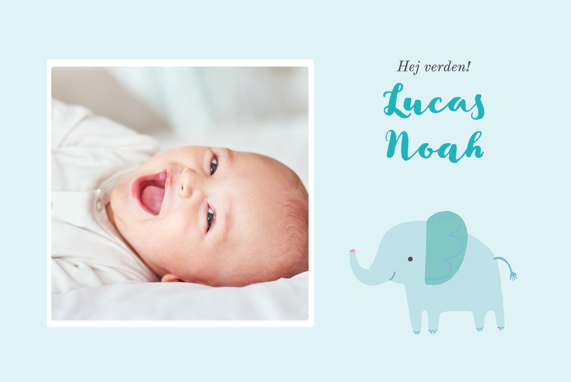 Invitationer — Blå elefant